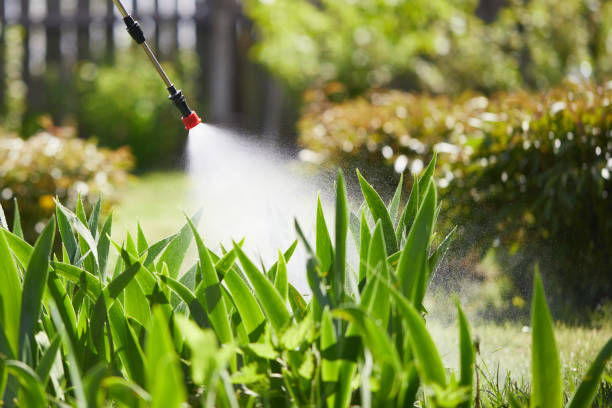 24/7 Emergency Mosquito Control experts in Fountain Hills, AZ