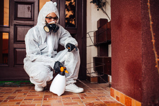 Reliable Mosquito Control contractor in Fountain Hills, AZ by Show Me Pest Control